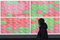 A person looks at an electronic stock board showing Japan's Nikkei index at a securities firm in To…